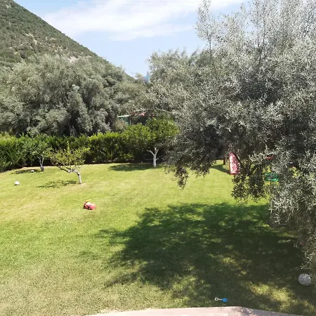 Apartament Red *